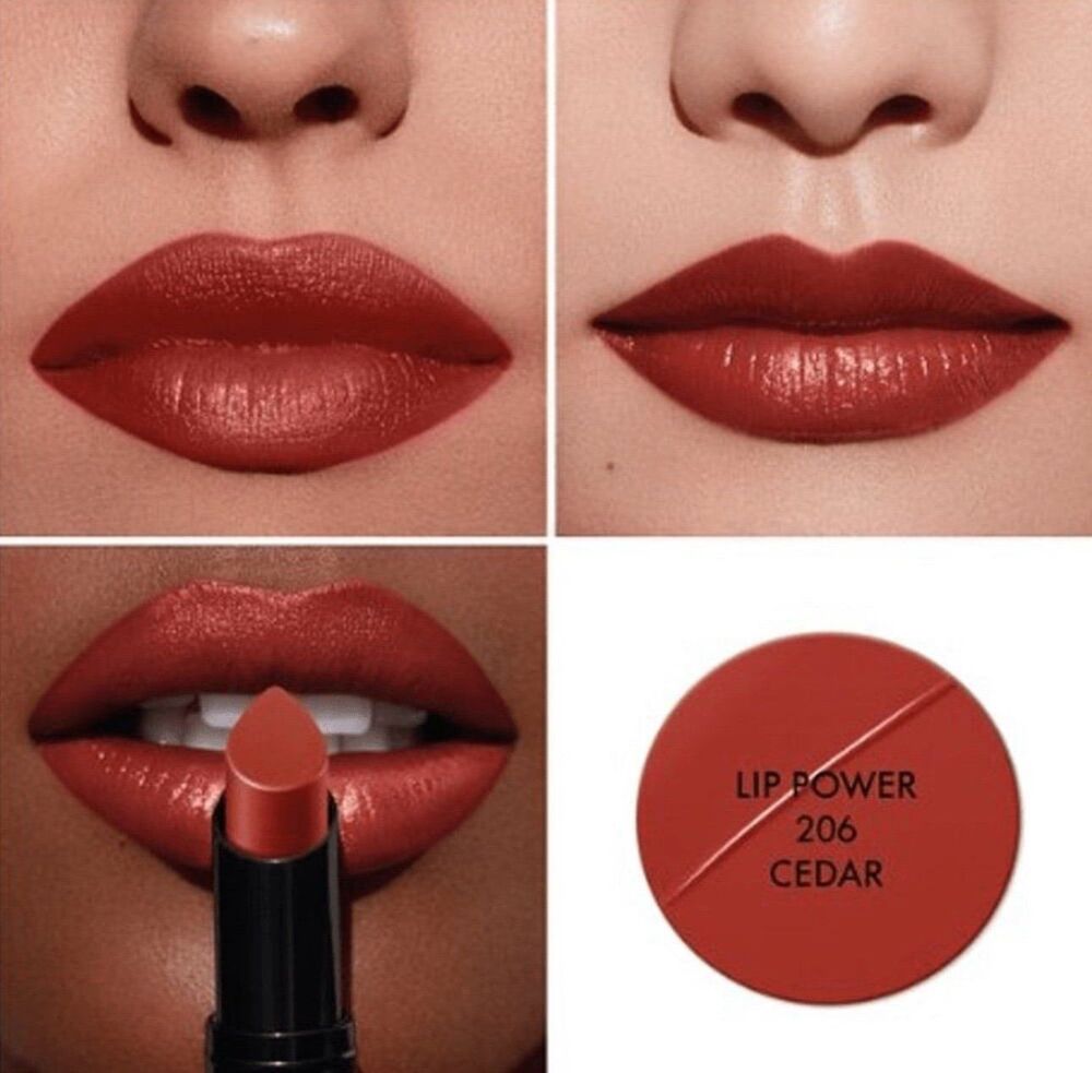Lip Maestro Velvet Liquid Lipstick Cedar